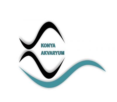 Konya Akvaryum ve Balık Çeşitleri Logo