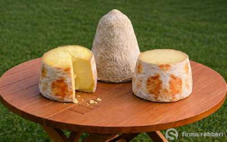 FEZA Divle obruk peyniri Divle obruk keçi koyun peyniri Logo