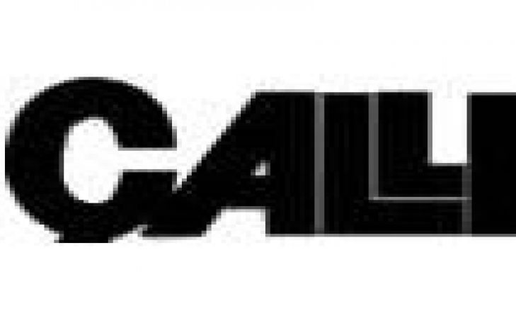 Çallı Gıda Sanayi Ve Ticaret A. Ş. Logo