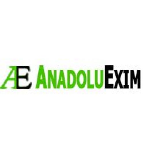 Anadolu Exim Dış Ticaret Logo