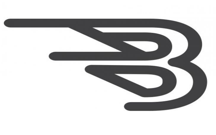 Bakaş Makina Sanayi Ve Ticaret Limited Şirketi Logo