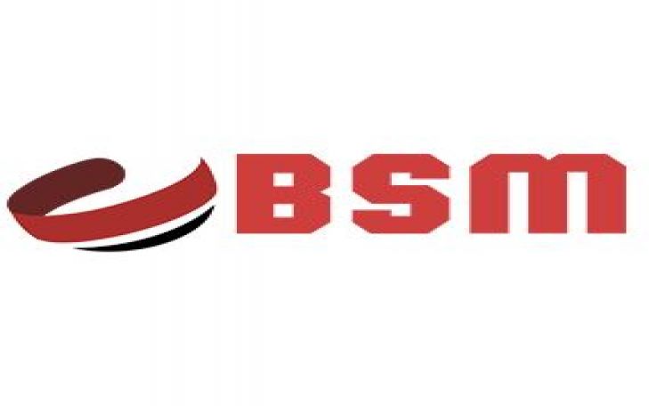 Bsm Bombe Makine Metal San. Tic. Logo