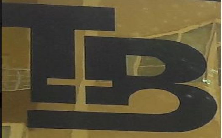 Ceyhan Büyükova Tb İnşaat Logo