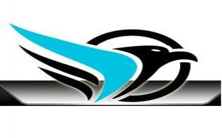 Dakik Asansör Vinç Ve Mak. San. Tic. Ltd. Şti. Logo