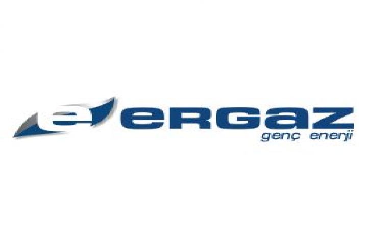 Ergaz Sanayi Ve Ticaret A.ş Logo