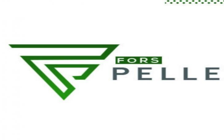 Fors Pelle Ayakkabı Logo