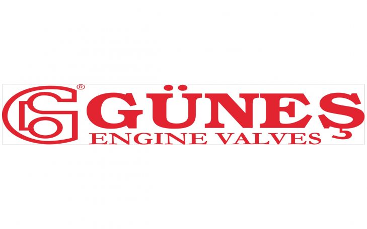 Güneş Motor Supapları Ticaret Ve Sanayi Anonim Şirketi Logo