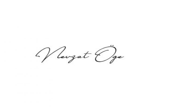 Hasan Nevzat Öğe Ayakkabıcılık Sanayi Ve Ticaret Logo